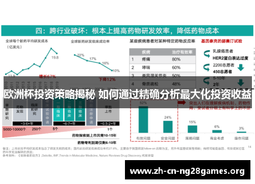 欧洲杯投资策略揭秘 如何通过精确分析最大化投资收益