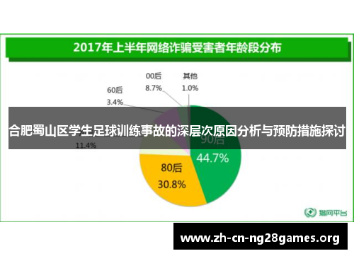 合肥蜀山区学生足球训练事故的深层次原因分析与预防措施探讨