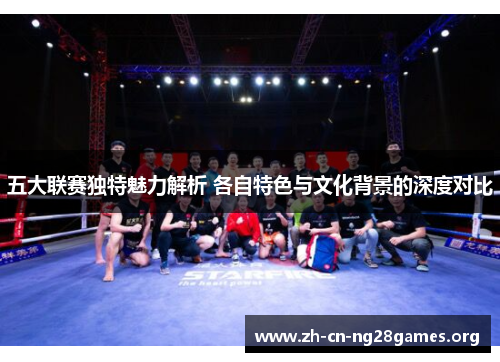五大联赛独特魅力解析 各自特色与文化背景的深度对比