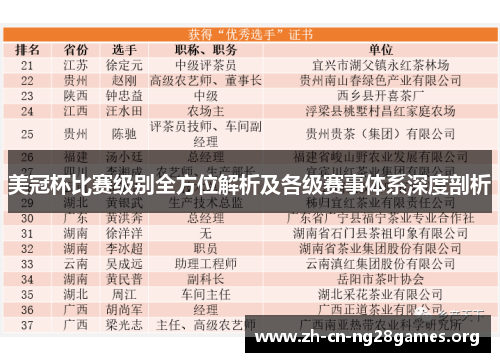 美冠杯比赛级别全方位解析及各级赛事体系深度剖析